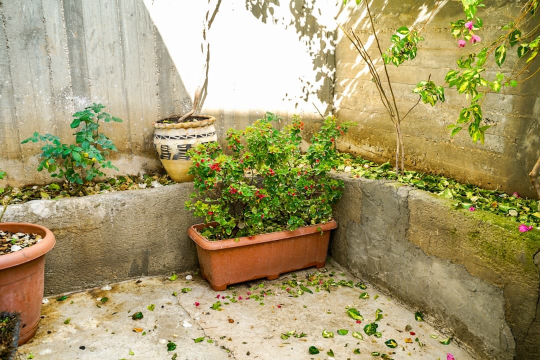 Concrete Patios in Sacramento, CA